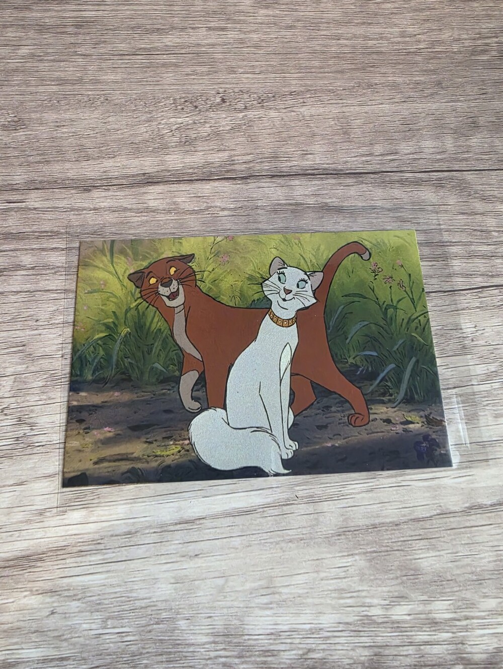 ✨️BUY 3 FOR $22 Thomas O'Malley And Dutchess, The Aristrocats, 1970 Postcard